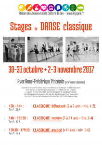 Stage danse classique (débutant)