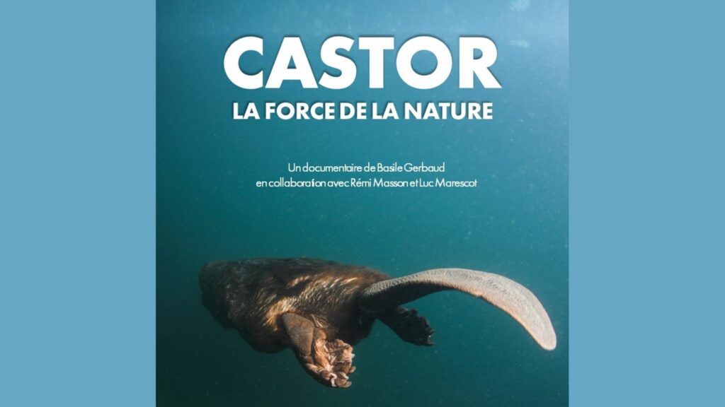 Affiche du film Castor, la force de la nature